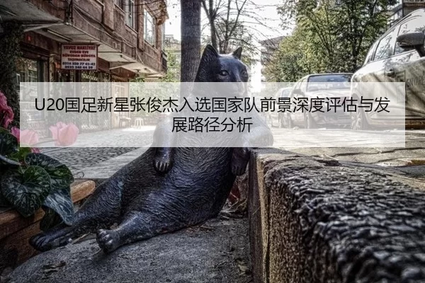 U20国足新星张俊杰入选国家队前景深度评估与发展路径分析