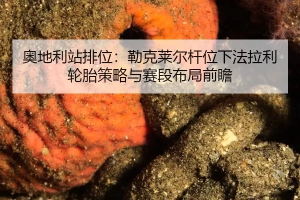 ao-di-li-zhan-pai-wei-lei-ke-lai-er-gan-wei-xia-fa-la-li-lun-tai-ce-lve-yu-sai-duan-bu-ju-qian-zhan-2-161.jpg
