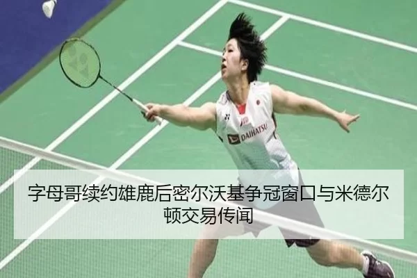 zi-mu-ge-xu-yue-xiong-lu-hou-mi-er-wo-ji-zheng-guan-chuang-kou-yu-mi-de-er-dun-jiao-yi-chuan-wen-3-316.jpg